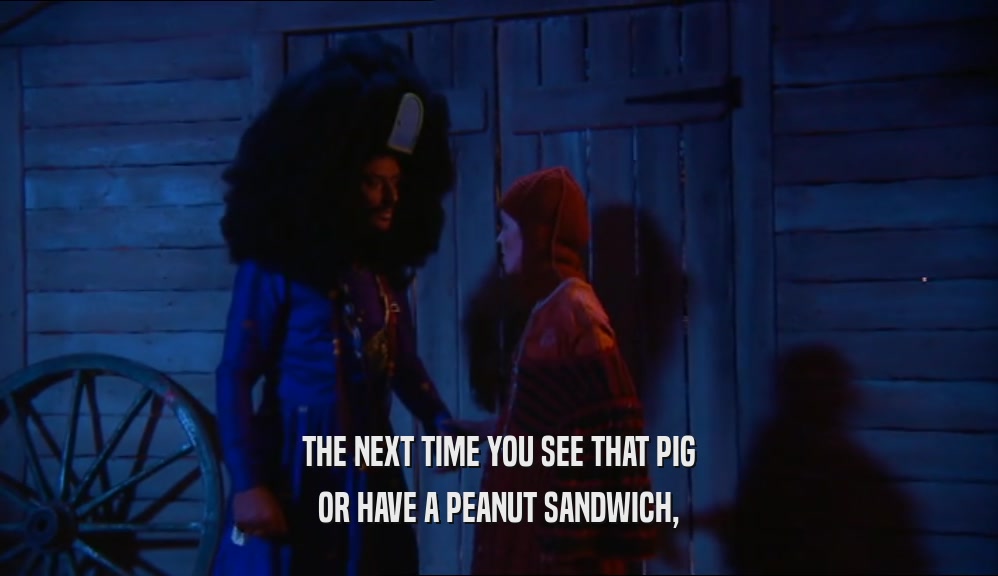 THE NEXT TIME YOU SEE THAT PIG OR HAVE A PEANUT SANDWICH, 