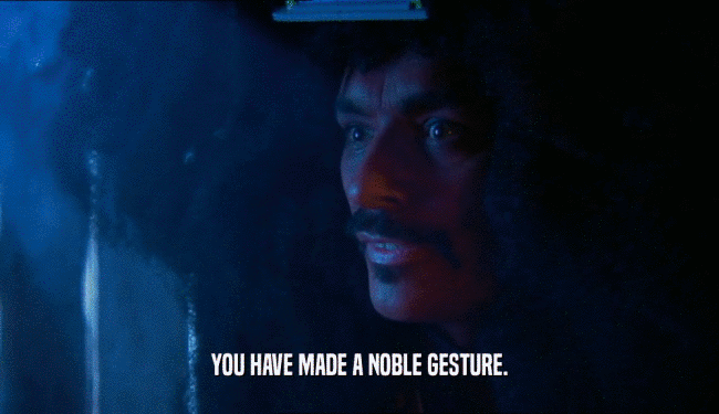 YOU HAVE MADE A NOBLE GESTURE.  