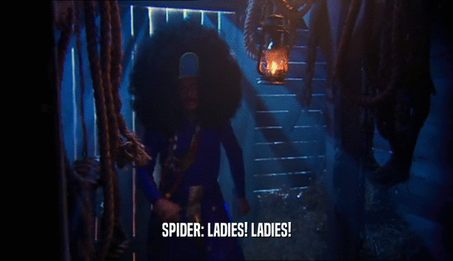 SPIDER: LADIES! LADIES!  