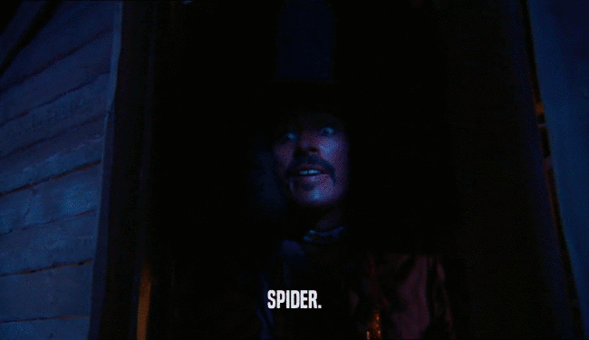 SPIDER.  