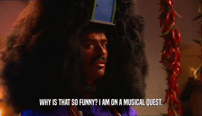WHY IS THAT SO FUNNY? I AM ON A MUSICAL QUEST.  