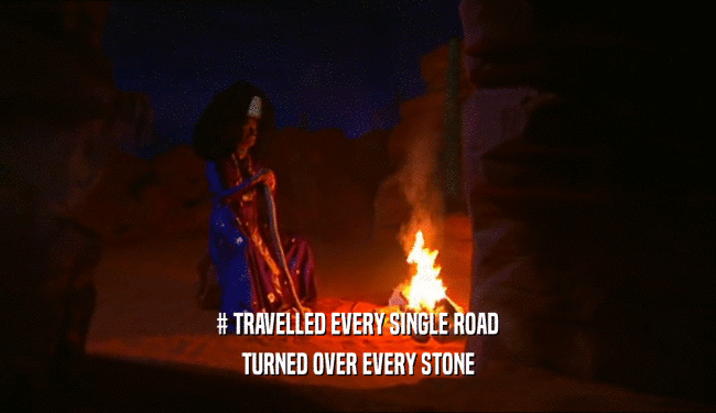 # TRAVELLED EVERY SINGLE ROAD TURNED OVER EVERY STONE 