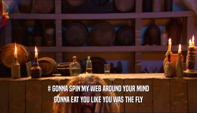 # GONNA SPIN MY WEB AROUND YOUR MIND GONNA EAT YOU LIKE YOU WAS THE FLY 