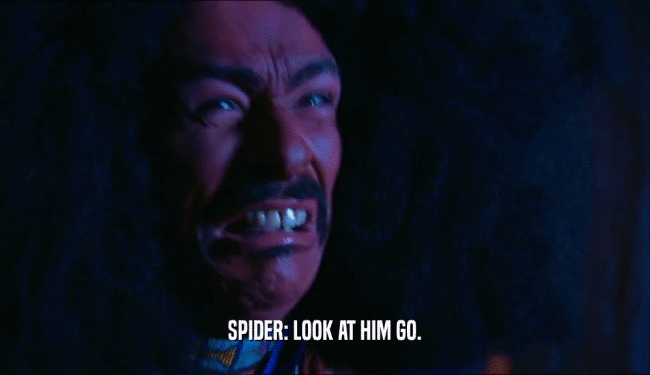 SPIDER: LOOK AT HIM GO.  