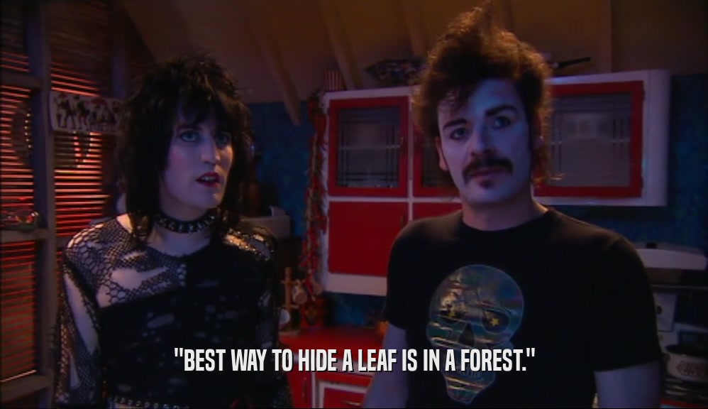 ''BEST WAY TO HIDE A LEAF IS IN A FOREST.''  