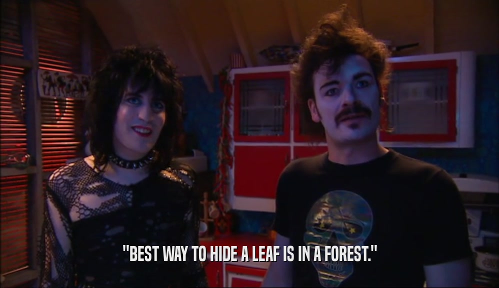 ''BEST WAY TO HIDE A LEAF IS IN A FOREST.''  