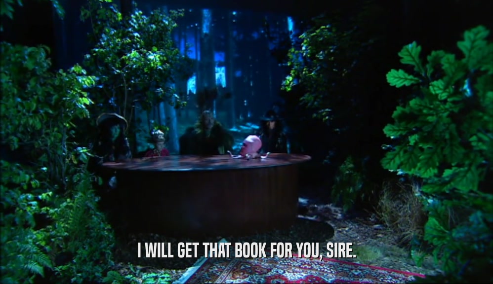 I WILL GET THAT BOOK FOR YOU, SIRE.  