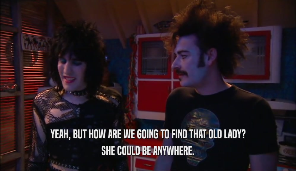 YEAH, BUT HOW ARE WE GOING TO FIND THAT OLD LADY? SHE COULD BE ANYWHERE. 