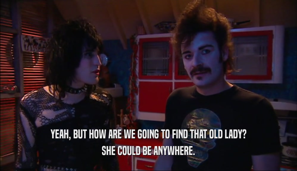 YEAH, BUT HOW ARE WE GOING TO FIND THAT OLD LADY? SHE COULD BE ANYWHERE. 