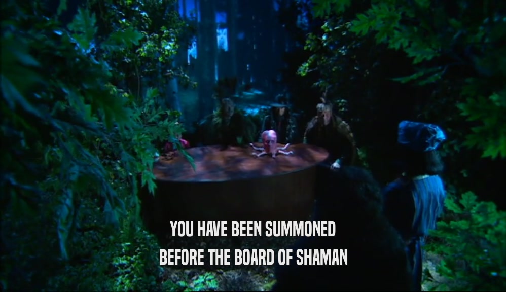 YOU HAVE BEEN SUMMONED BEFORE THE BOARD OF SHAMAN 