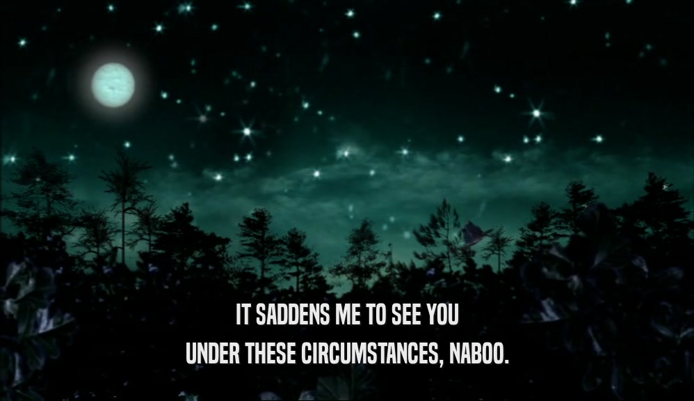 IT SADDENS ME TO SEE YOU UNDER THESE CIRCUMSTANCES, NABOO. 
