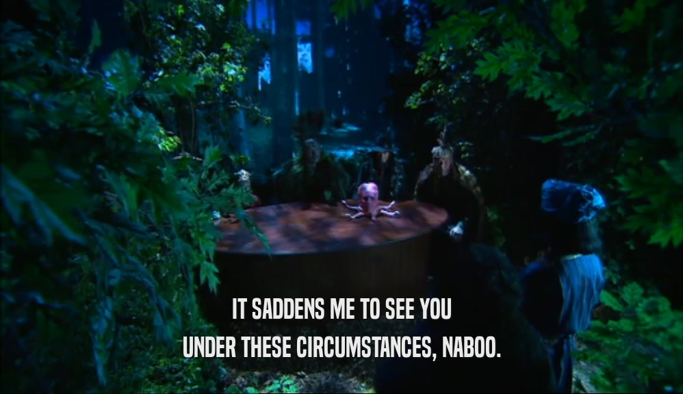 IT SADDENS ME TO SEE YOU UNDER THESE CIRCUMSTANCES, NABOO. 