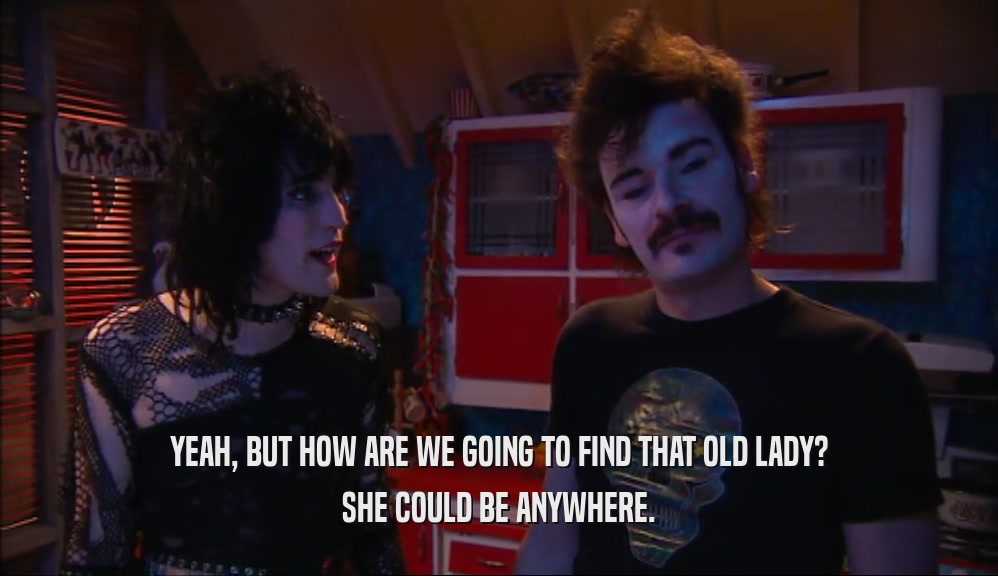 YEAH, BUT HOW ARE WE GOING TO FIND THAT OLD LADY? SHE COULD BE ANYWHERE. 