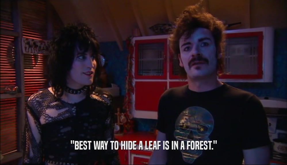 ''BEST WAY TO HIDE A LEAF IS IN A FOREST.''  