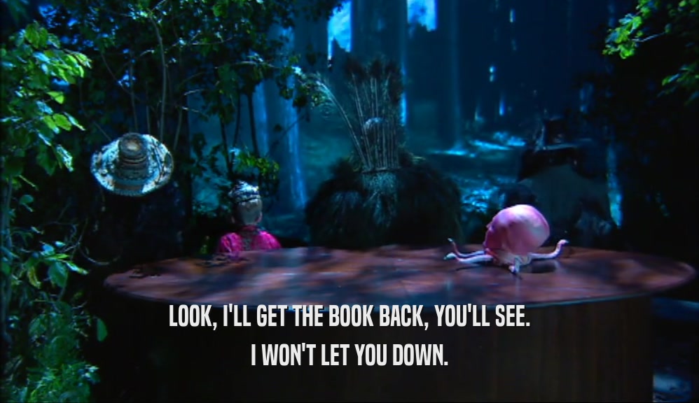LOOK, I'LL GET THE BOOK BACK, YOU'LL SEE. I WON'T LET YOU DOWN. 