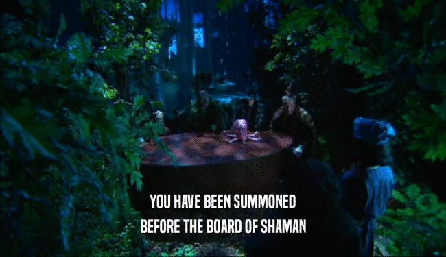 YOU HAVE BEEN SUMMONED BEFORE THE BOARD OF SHAMAN 