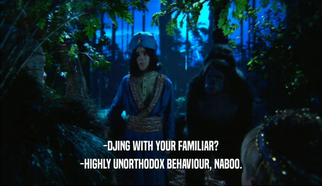 -DJING WITH YOUR FAMILIAR?
 -HIGHLY UNORTHODOX BEHAVIOUR, NABOO.
 
