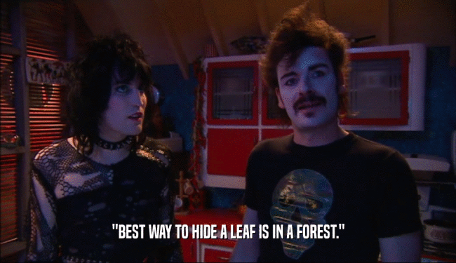 ''BEST WAY TO HIDE A LEAF IS IN A FOREST.''  