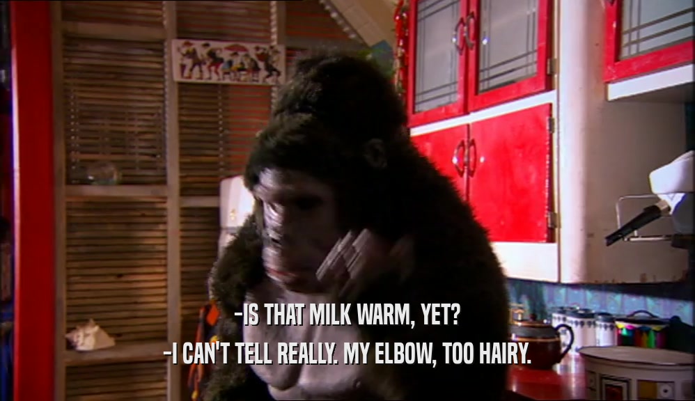 -IS THAT MILK WARM, YET?
 -I CAN'T TELL REALLY. MY ELBOW, TOO HAIRY.
 