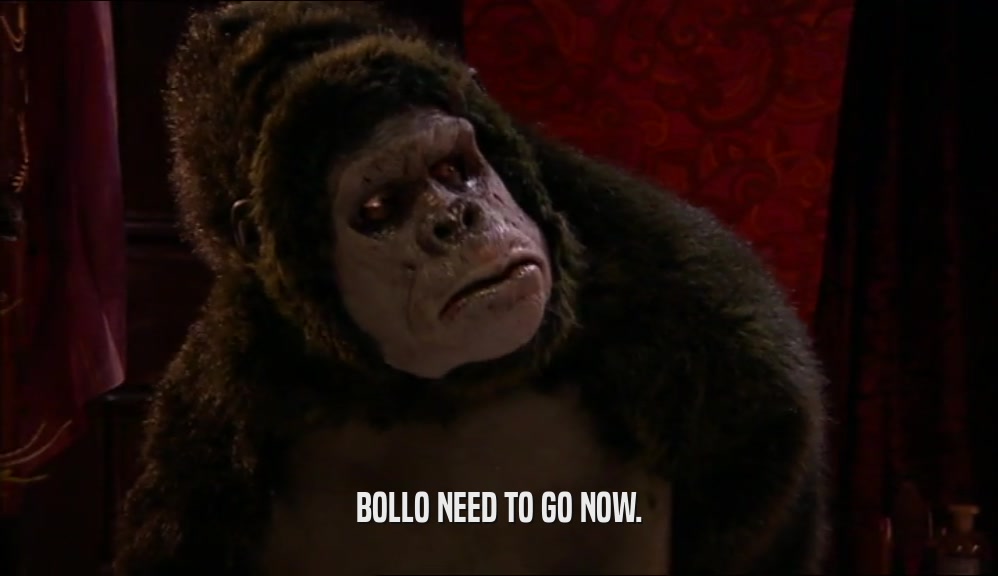 BOLLO NEED TO GO NOW.  