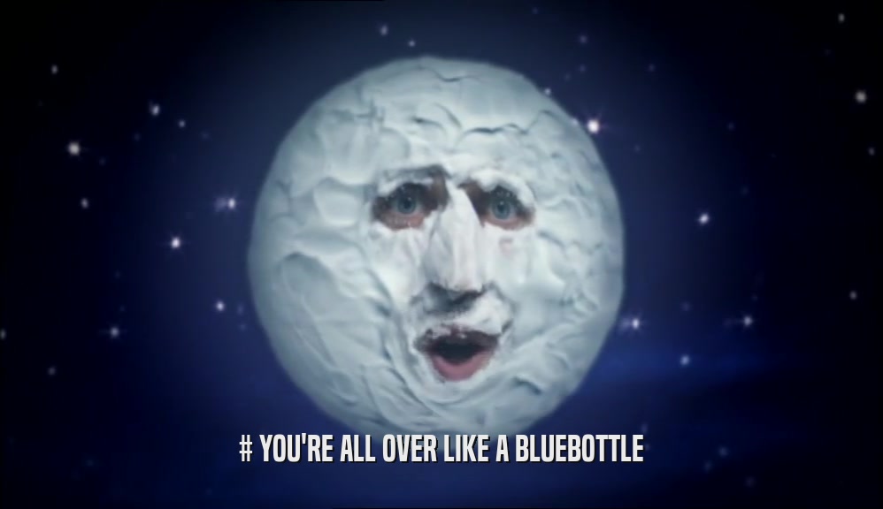# YOU'RE ALL OVER LIKE A BLUEBOTTLE  