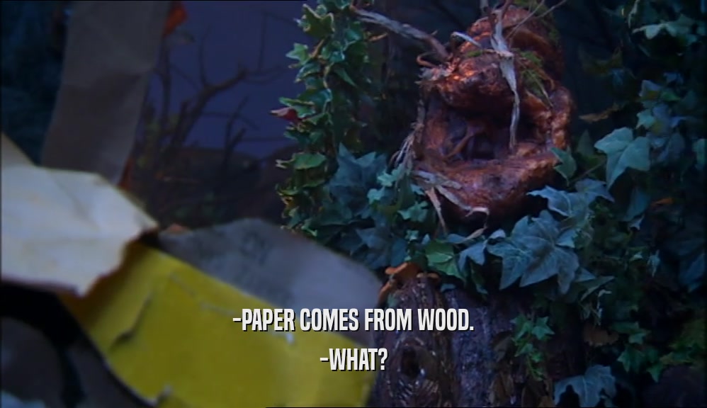 -PAPER COMES FROM WOOD.
 -WHAT?
 