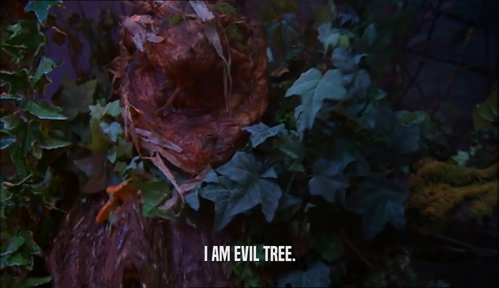 I AM EVIL TREE.
  