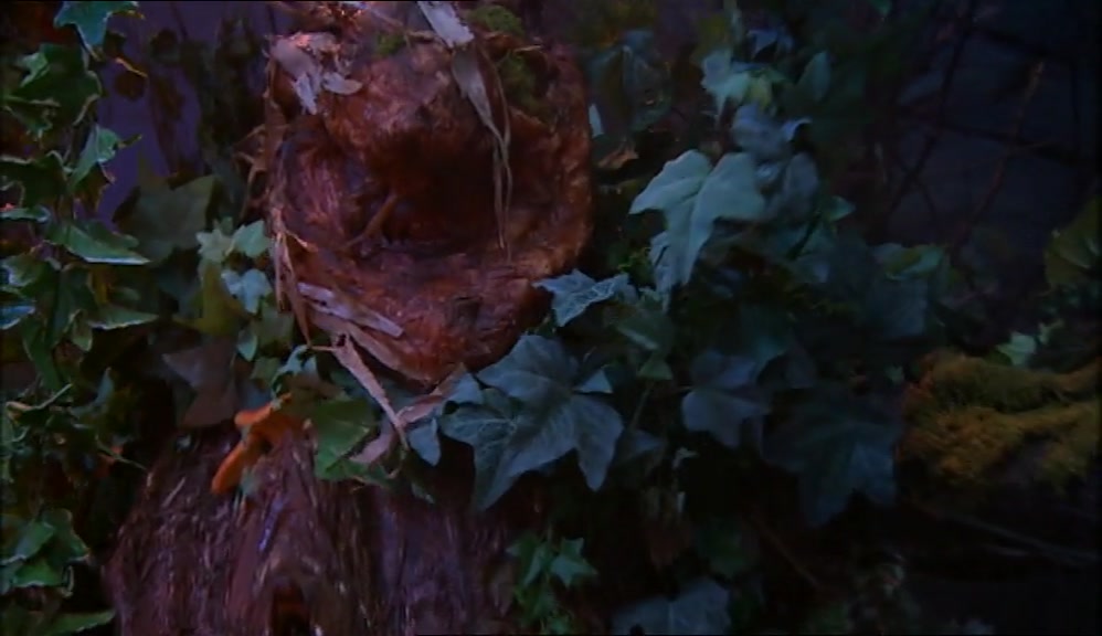 I AM EVIL TREE.  