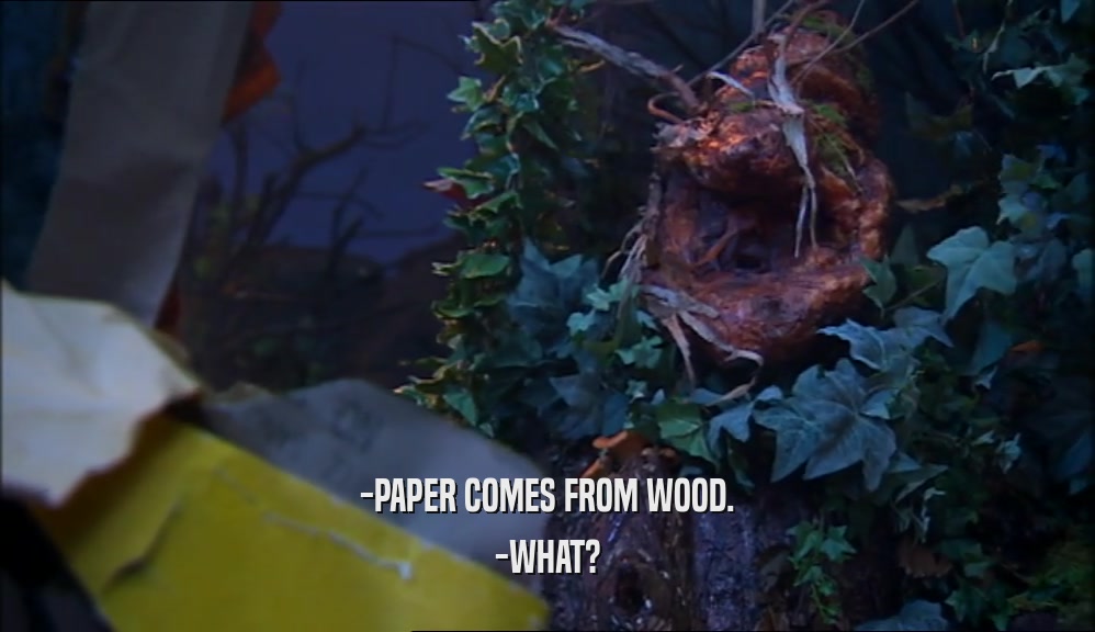 -PAPER COMES FROM WOOD.
 -WHAT?
 