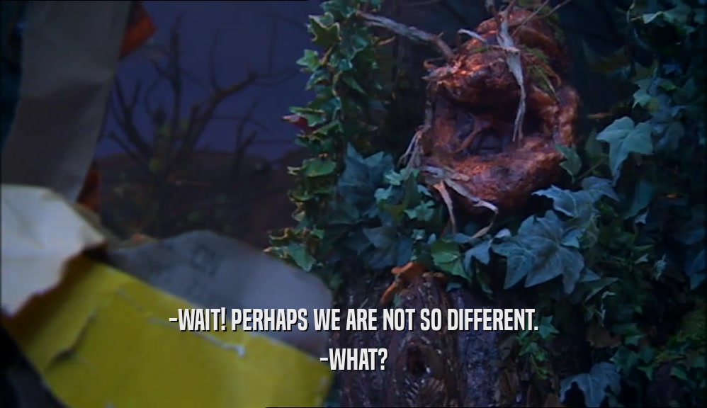 -WAIT! PERHAPS WE ARE NOT SO DIFFERENT. -WHAT? 