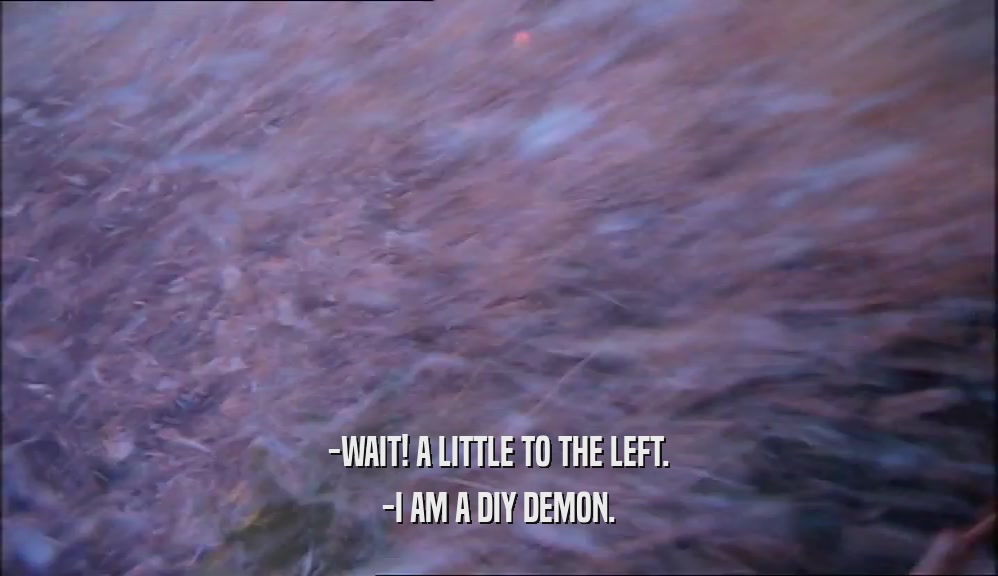 -WAIT! A LITTLE TO THE LEFT. -I AM A DIY DEMON. 