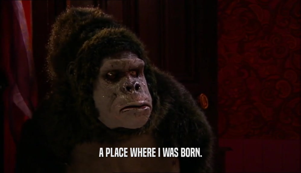 A PLACE WHERE I WAS BORN.  