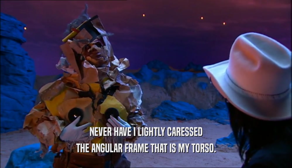 NEVER HAVE I LIGHTLY CARESSED THE ANGULAR FRAME THAT IS MY TORSO. 