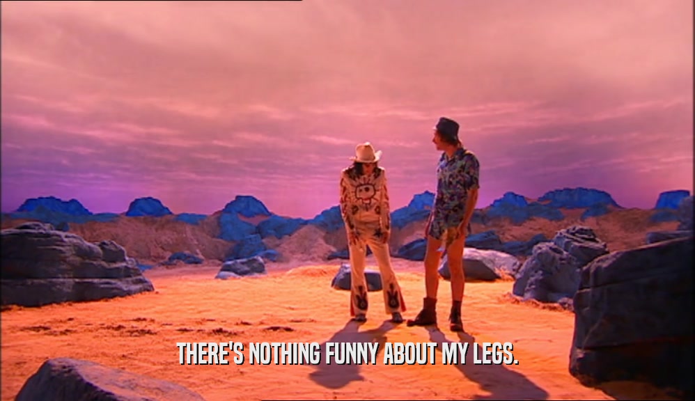 THERE'S NOTHING FUNNY ABOUT MY LEGS.
  