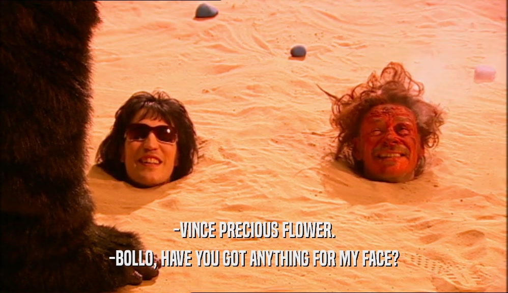 -VINCE PRECIOUS FLOWER.
 -BOLLO, HAVE YOU GOT ANYTHING FOR MY FACE?
 