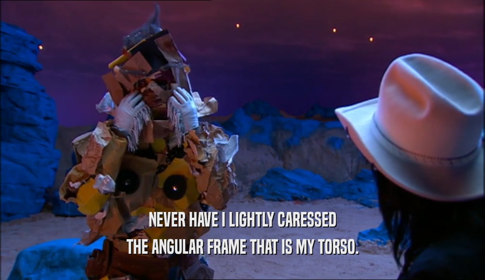 NEVER HAVE I LIGHTLY CARESSED THE ANGULAR FRAME THAT IS MY TORSO. 