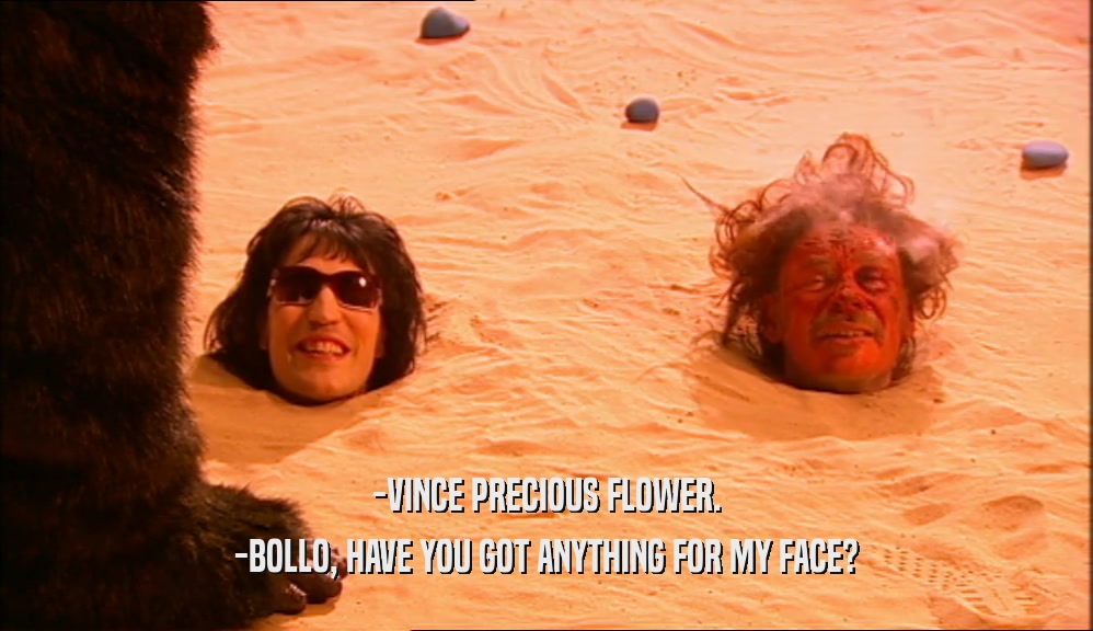 -VINCE PRECIOUS FLOWER.
 -BOLLO, HAVE YOU GOT ANYTHING FOR MY FACE?
 