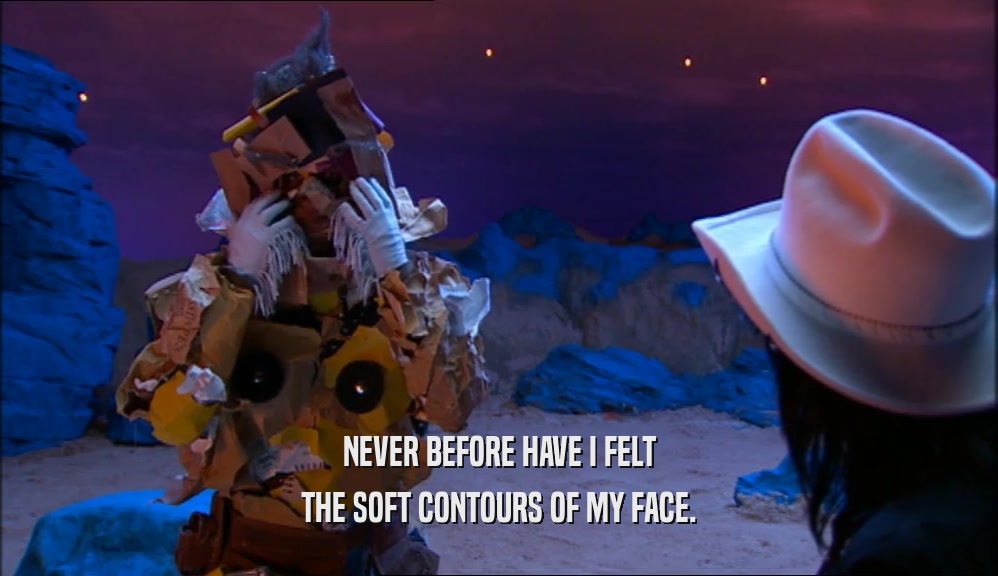 NEVER BEFORE HAVE I FELT THE SOFT CONTOURS OF MY FACE. 