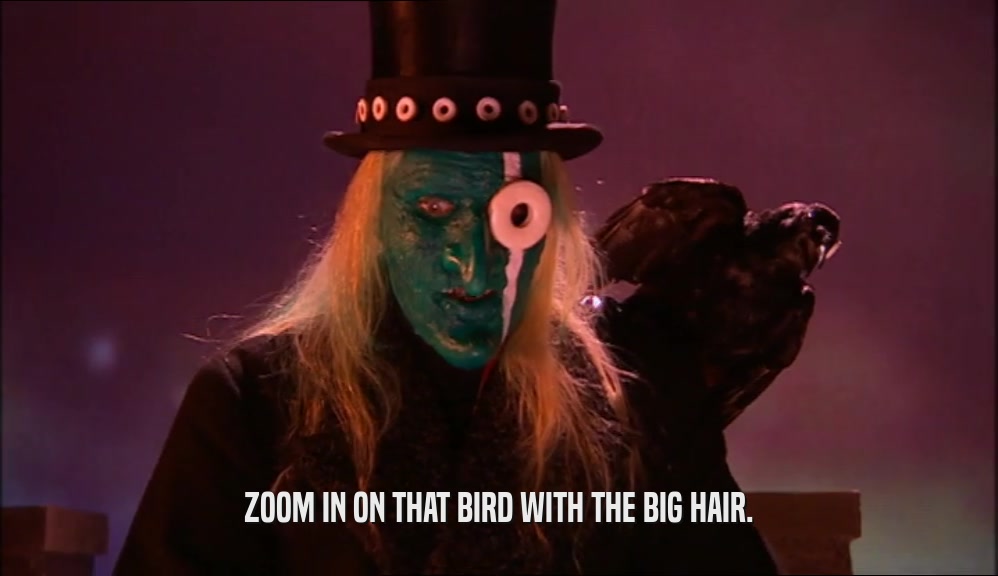 ZOOM IN ON THAT BIRD WITH THE BIG HAIR.  