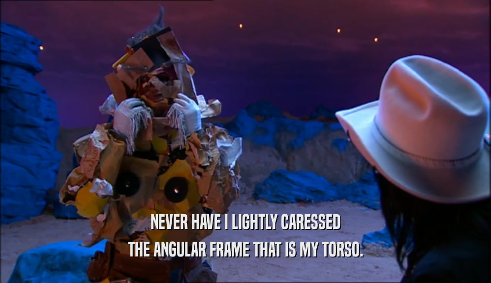 NEVER HAVE I LIGHTLY CARESSED THE ANGULAR FRAME THAT IS MY TORSO. 