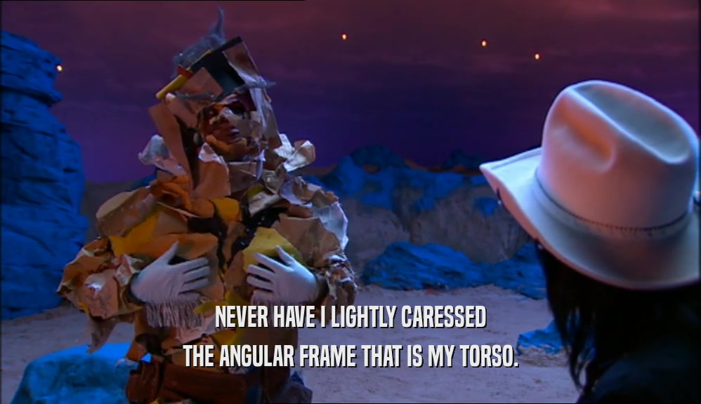 NEVER HAVE I LIGHTLY CARESSED THE ANGULAR FRAME THAT IS MY TORSO. 