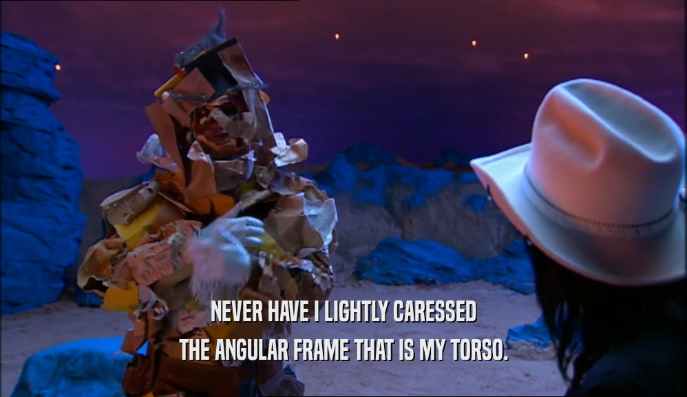 NEVER HAVE I LIGHTLY CARESSED THE ANGULAR FRAME THAT IS MY TORSO. 