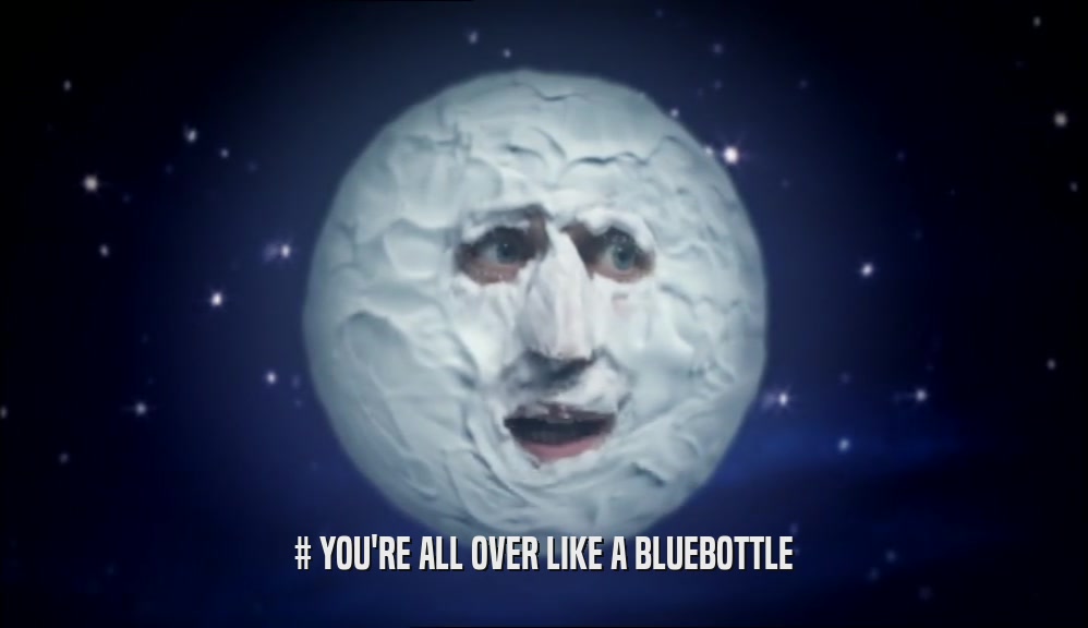 # YOU'RE ALL OVER LIKE A BLUEBOTTLE  