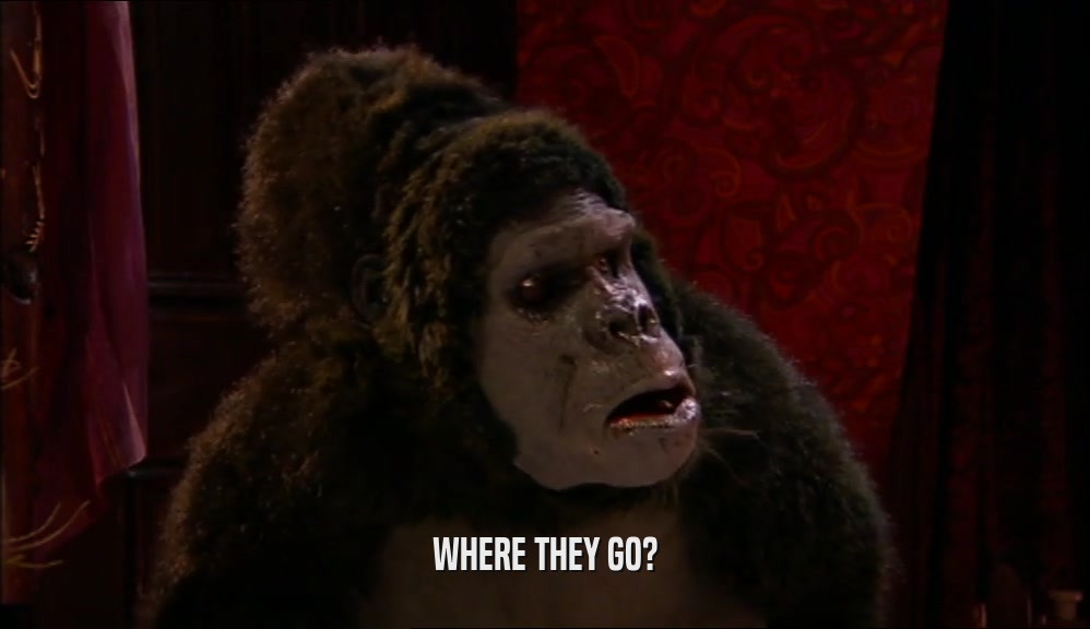 WHERE THEY GO?  