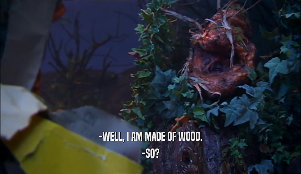 -WELL, I AM MADE OF WOOD. -SO? 