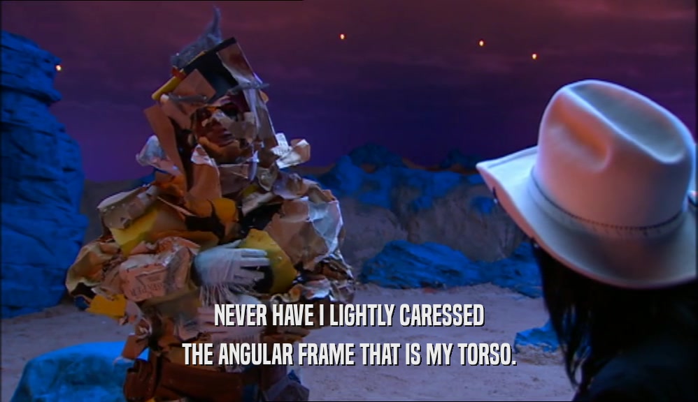 NEVER HAVE I LIGHTLY CARESSED THE ANGULAR FRAME THAT IS MY TORSO. 