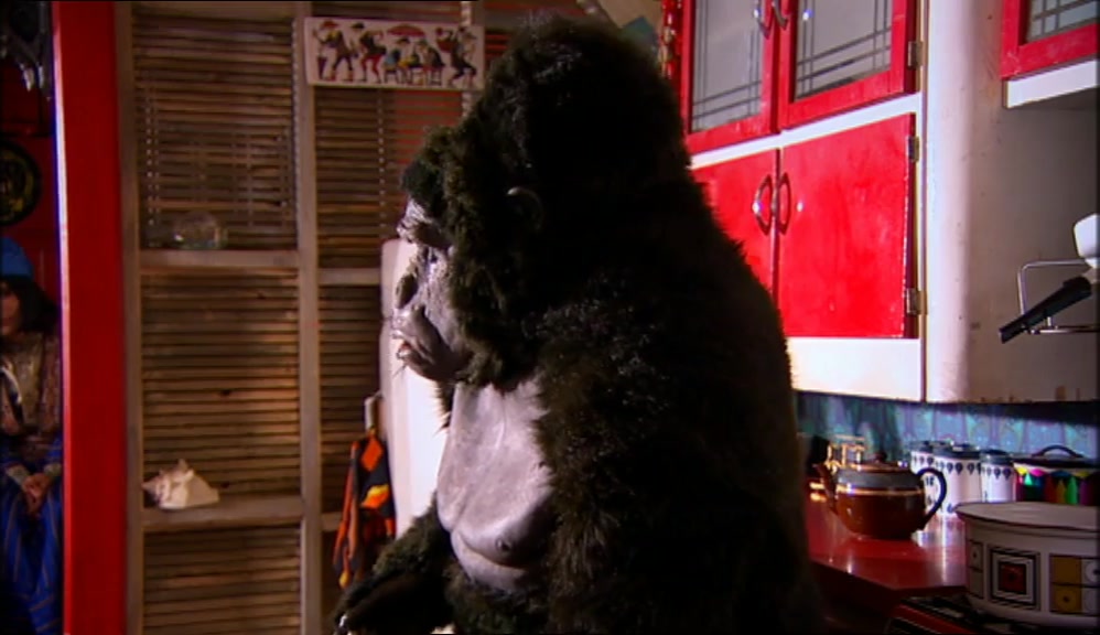 I THINK HOWARD'S DONE A LITTLE MISTAKE IN HIS PANTS.  