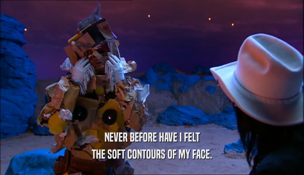NEVER BEFORE HAVE I FELT THE SOFT CONTOURS OF MY FACE. 