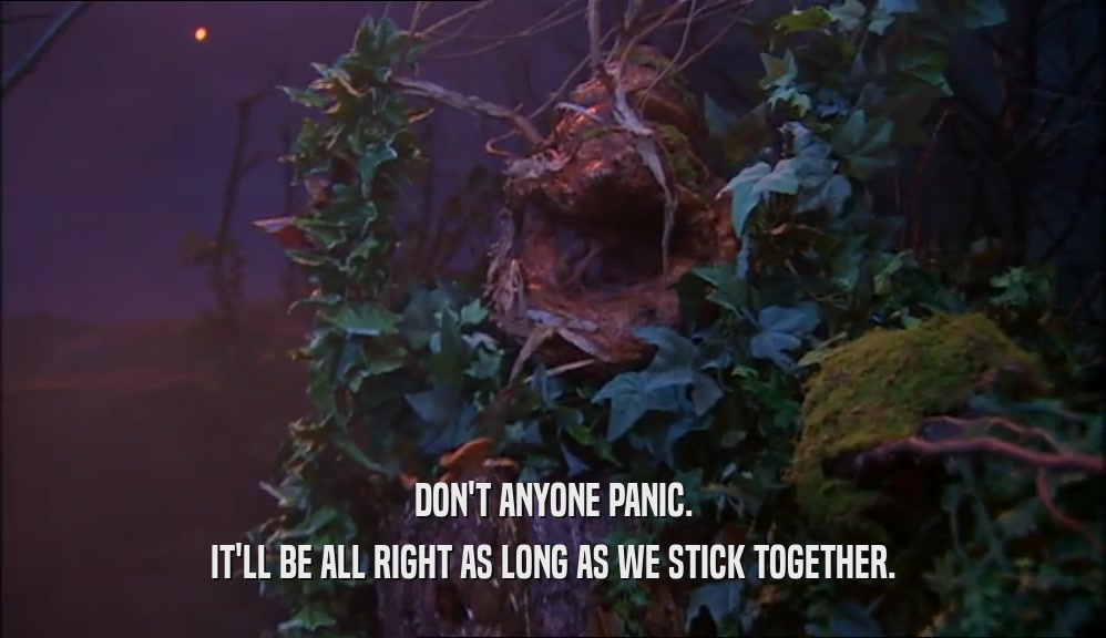 DON'T ANYONE PANIC. IT'LL BE ALL RIGHT AS LONG AS WE STICK TOGETHER. 