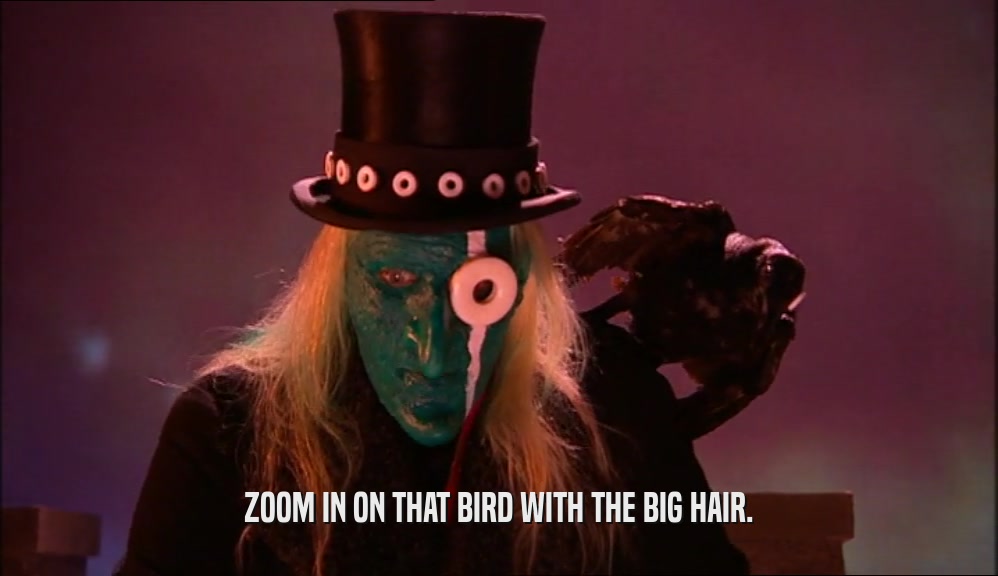 ZOOM IN ON THAT BIRD WITH THE BIG HAIR.  